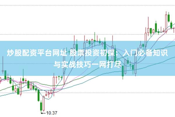 炒股配资平台网址 股票投资初探：入门必备知识与实战技巧一网打尽