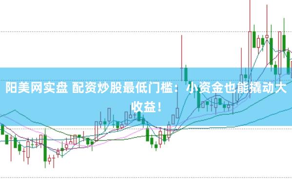 阳美网实盘 配资炒股最低门槛：小资金也能撬动大收益！