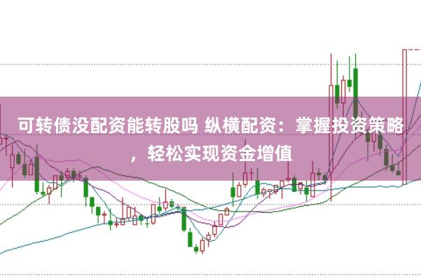 可转债没配资能转股吗 纵横配资：掌握投资策略，轻松实现资金增值