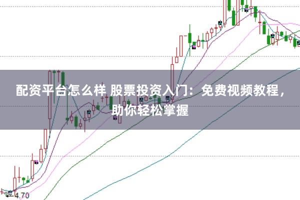 配资平台怎么样 股票投资入门：免费视频教程，助你轻松掌握