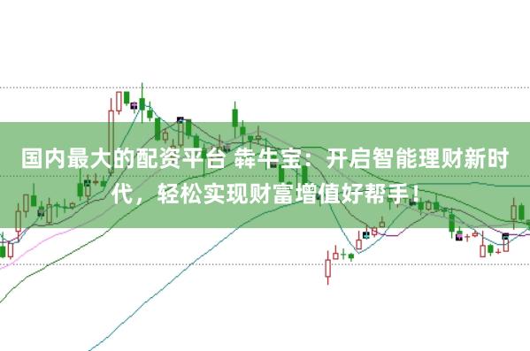 国内最大的配资平台 犇牛宝：开启智能理财新时代，轻松实现财富增值好帮手！