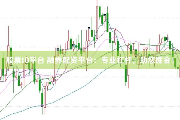 股票t0平台 融券配资平台：专业杠杆，助您掘金！