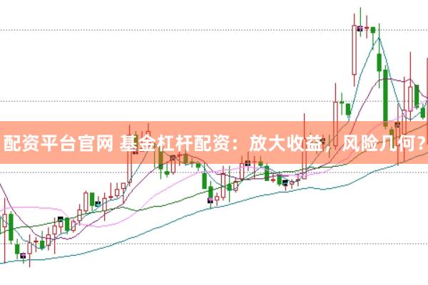 配资平台官网 基金杠杆配资：放大收益，风险几何？