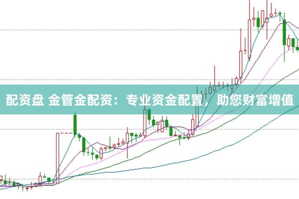 配资盘 金管金配资：专业资金配置，助您财富增值
