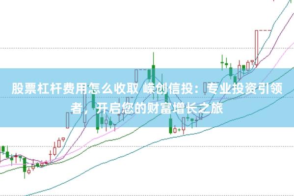 股票杠杆费用怎么收取 嵘创信投：专业投资引领者，开启您的财富增长之旅