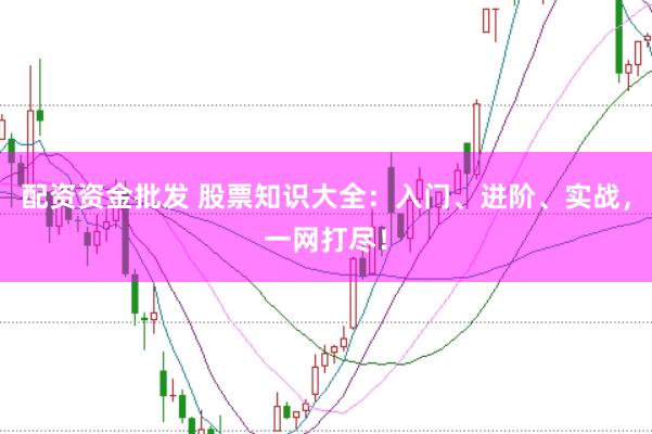 配资资金批发 股票知识大全：入门、进阶、实战，一网打尽！