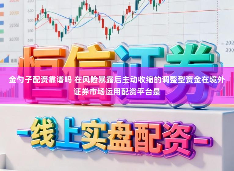 金勺子配资靠谱吗 在风险暴露后主动收缩的调整型资金在境外证券市场运用配资平台是