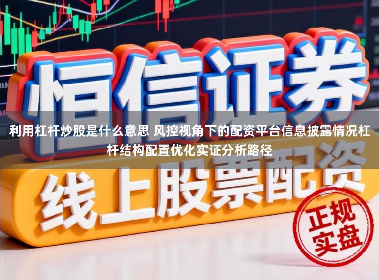 利用杠杆炒股是什么意思 风控视角下的配资平台信息披露情况杠杆结构配置优化实证分析路径